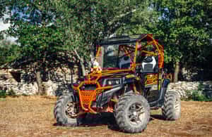 Bild Nr. 3 von Pula&Fažana: Geführte Istra-Buggy-Tour im Herzen Istriens Aktivität in Gespanschaft Istrien, hochgeladen vom Anbieter