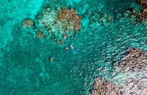 Obraz nr 4 z atrakcji Cancun: Przygoda w dżungli z łodzią motorową i nurkowaniem z rurką w Cancún, przesłany przez organizatora