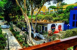 image n.4 of Lima: Barranco and Pachacamac Ruins Guided Tour activity in Lima, uploaded by supplier