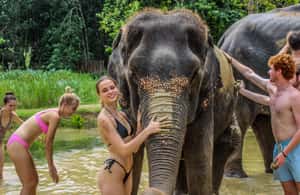 afbeelding n.3 van Krabi: Ao Nang Elephant Sanctuary halfdaagse tour activiteit in Ao Nang, geüpload door aanbieder
