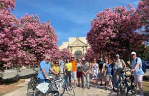 Immagine nº 4 di Lecce: Tour guidato e degustazione di vini in bicicletta attività a Lecce, caricata dal fornitore