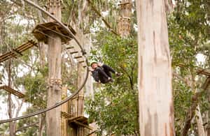 image n.4 of Lorne: Live Wire Park Ticket with Zip Line Rollercoaster activity in Lorne, uploaded by supplier