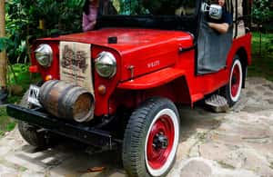 image n.3 of From Bogotá: Coffee Farm and Tequendama Falls Tour activity in Cundinamarca, uploaded by supplier