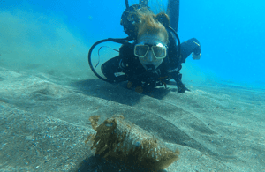 image n.4 of Tenerife: Scuba Diving Lesson and Abades Protected Area Dive activity in Arico, uploaded by supplier