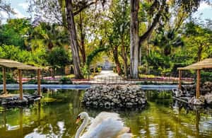 image n.4 of Malta: Mdina, Dingli Cliffs and San Anton Botanical Gardens activity in Valletta, uploaded by supplier
