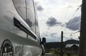 image n.4 of From Vancouver: Fraser Valley Wine Tour with Local Tastings activity in Vancouver, uploaded by supplier