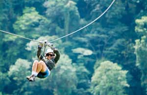 image n.4 of Monteverde: Sky Walk, Sky Tram & Sky Trek Ziplining Tour activity in Bagaces, uploaded by supplier