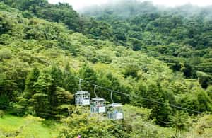 image n.3 of Monteverde: Sky Walk, Sky Tram & Sky Trek Ziplining Tour activity in Bagaces, uploaded by supplier