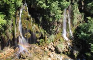 image n.3 of GRASSE GOURDON ST PAUL DE VENCE activity in Grasse, uploaded by supplier
