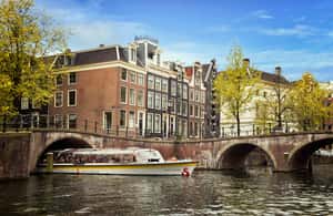 image n.4 of Go City Amsterdam Pass: Attractions Pass with Rijksmuseum activity in Amsterdam, uploaded by supplier