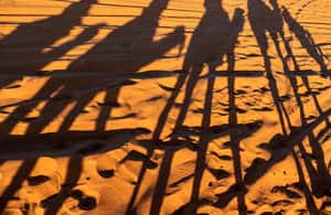 image n.3 of Agadir/Taghazout/Port: Sahara Desert 4x4 Day Trip with Lunch activity in Souss-Massa, uploaded by supplier