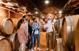 image n.3 of From Madrid: Toledo Guided Tour & Winery Visit with Tasting activity in Toledo, uploaded by supplier