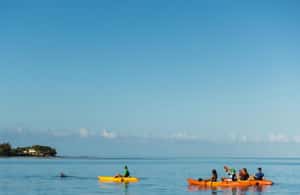 image n.3 of Tamarin: Guided Kayak Tour with Dolphins activity in Tamarin, uploaded by supplier