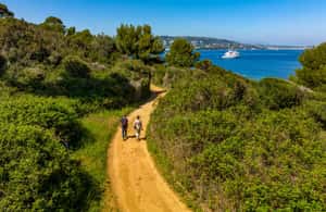 Cannes içindeki Cannes'dan: Ste. Marguerite Adası'na Gidiş-Dönüş Feribot etkinliğinin tedarikçi tarafından yüklenen 4 no'lu görseli