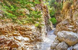image n.4 of From Rethymno: Imbros Gorge & Libyan Guided Sea Tour activity in Crete, uploaded by supplier