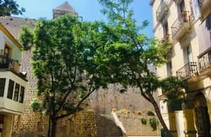 Image N°4 de Ibiza : Visite guidée de la vieille ville activité à Ibiza (ville), publiée par le prestataire