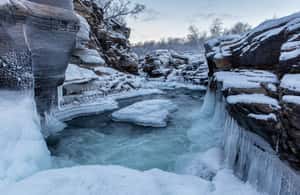 image n.4 of Abisko National Park: Scenic Morning Hike with Transfer activity in Norrbotten County, uploaded by supplier