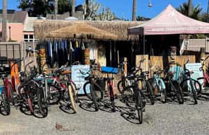 image n.3 of Solana Beach: Beach Cruiser Full-Day Bike Rental activity in Solana Beach, uploaded by supplier