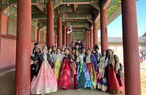 imagen n.º 3 de Seúl: DMZ, Palacio de Gyeongbokgung y tour de la ciudad actividad en Paju-si, subida por el proveedor