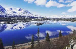 image n.4 of From Skagway: White Pass and Yukon Suspension Bridge Tour activity in British Columbia, uploaded by supplier