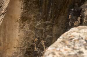 image n.3 of Baku: Half-Day Gobustan and Mud Volcanoes Tour with Entry activity in Baku, uploaded by supplier