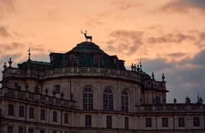image n.4 of Turin: Stupinigi Palace UNESCO Site Guided Historical Tour activity in Turin, uploaded by supplier