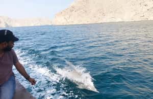 Immagine nº 3 di Da Khasab: Tour di mezza giornata di snorkeling con osservazione dei delfini attività a Mascate, caricata dal fornitore
