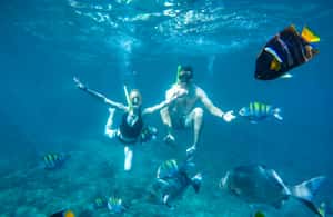 image n.3 of Cabo San Lucas: Snorkel Tour with Open Bar & Snacks activity in Baja California Sur, uploaded by supplier