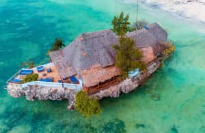 image n.3 of Kiwengwa/Zanzibar: Mnemba, Kuza Cave & Jozani Forest Tour activity in Jambiani, uploaded by supplier