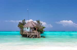 image n.4 of Kiwengwa/Zanzibar: Mnemba, Kuza Cave & Jozani Forest Tour activity in Jambiani, uploaded by supplier
