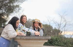 image n.3 of Nice: Half-Day Tour of Antibes and Cannes activity in Cannes, uploaded by supplier