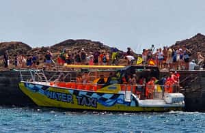 afbeelding n.4 van Corralejo: Isla de Lobos Retourticket met toegang tot het park activiteit in Corralejo, geüpload door aanbieder