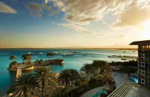 image n.3 of Hurghada : Jaz Makadi Aquaviva Waterworld activity in Hurghada, uploaded by supplier