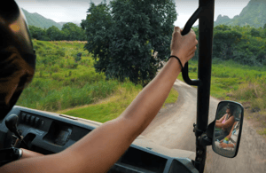 Immagine nº 3 di Kaneohe: tour guidato UTV del Kualoa Ranch attività a Kaneohe, caricata dal fornitore