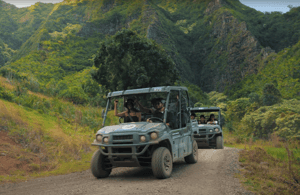 Immagine nº 4 di Kaneohe: tour guidato UTV del Kualoa Ranch attività a Kaneohe, caricata dal fornitore