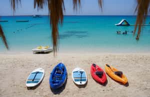 image n.4 of Mahmya Island: Red Sea Sailing Experience activity in Hurghada, uploaded by supplier