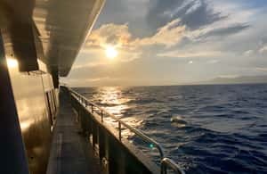 Image N°4 de Ibiza : Transfert aller-retour de Figueretas à Formentera activité à Ibiza (ville), publiée par le prestataire