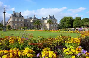 Bild Nr. 3 von Von Notre Dame zum Jardin du Luxembourg: Privater Spaziergang durch das historische Paris Aktivität in Paris, hochgeladen vom Anbieter