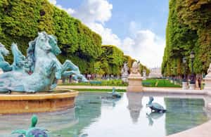 Bild Nr. 4 von Von Notre Dame zum Jardin du Luxembourg: Privater Spaziergang durch das historische Paris Aktivität in Paris, hochgeladen vom Anbieter