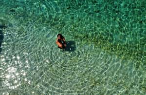 image n.4 of Vlore: Haxhi Ali Cave and Dafina Cave Speedboat Tour activity in Vlorë County, uploaded by supplier