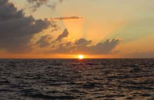 imagem n.4 de De Falmouth: Seven Mile Beach, Margaritaville e Ricks Cafe atividade em Montego Bay, carregada pelo fornecedor
