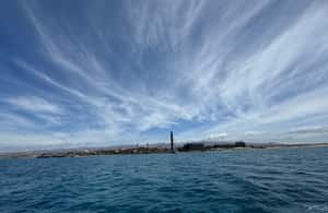 image n.4 of Pasito Blanco : Private sailing tour with food & drinks activity in San Bartolomé de Tirajana, uploaded by supplier