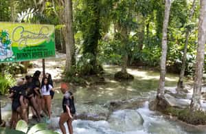 imagem n.3 de Montego Bay: Rafting no Rio e Viagem de um Dia às Cataratas do Rio Dunn atividade em Ocho Rios, carregada pelo fornecedor