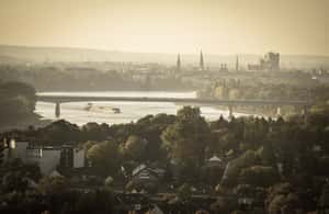 본에서 Bonn: 프라이빗 크리스마스 마켓 투어 액티비티의 3번 이미지, 공급업체 업로드