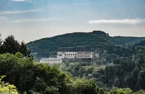 image n.3 of Luxembourg: Capture the most Photogenic Spots with a Local activity in Luxembourg, uploaded by supplier