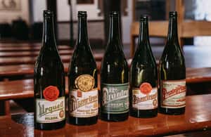 Immagine nº 4 di Pilsen: Ingresso al Museo della Birra con un bicchiere di birra attività a Plzeň, caricata dal fornitore