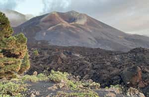 Bild Nr. 4 von La Palma: Geführte Tour zum Vulkan Tajogaite mit Transfer Aktivität in El Paso, Spanien, hochgeladen vom Anbieter