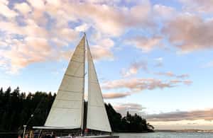 imagem n.3 de Seattle: Cruzeiro à vela ao pôr do sol atividade em Washington, carregada pelo fornecedor