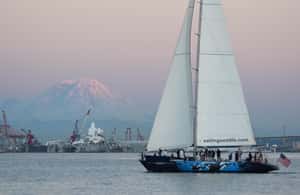 imagem n.4 de Seattle: Cruzeiro à vela ao pôr do sol atividade em Washington, carregada pelo fornecedor
