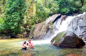 Immagine nº 3 di Khaolak: rafting su bambù, cascate e conservazione delle tartarughe attività a Provincia di Phang Nga, caricata dal fornitore